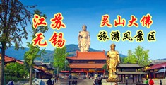 漏阴道网站江苏无锡灵山大佛旅游风景区